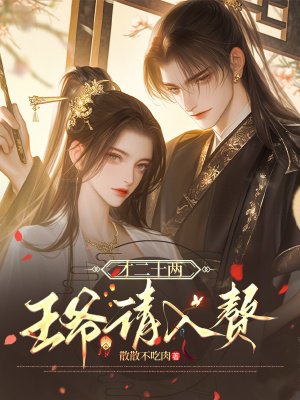 才二十两,王爷请入赘