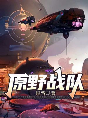 原野战队