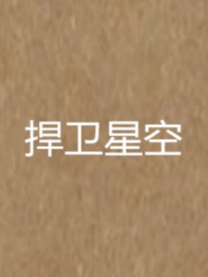 捍卫星空