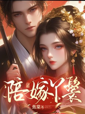 陪嫁丫鬟