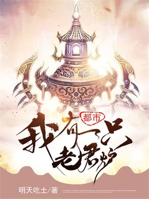 都市:我有一只老君炉