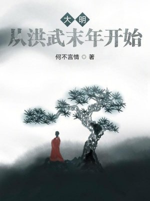 大明:从洪武末年开始