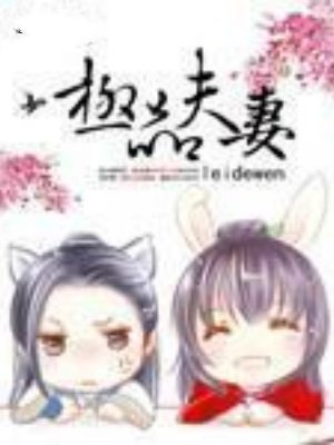 极品夫妻