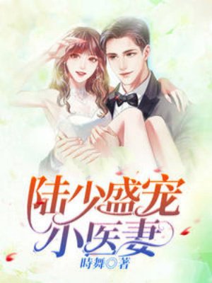 陆少盛宠小医妻