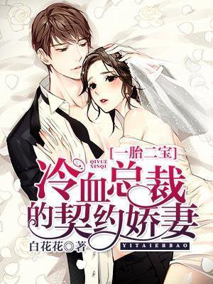 一胎二宝:冷血总裁的契约娇妻