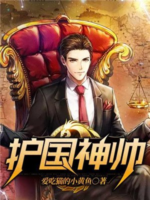 护国神帅