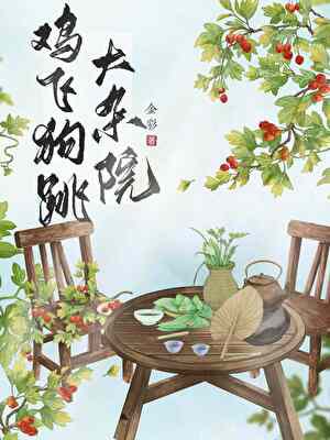 鸡飞狗跳大杂院