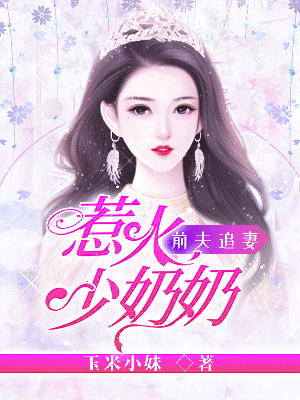 前夫追妻:惹火少奶奶