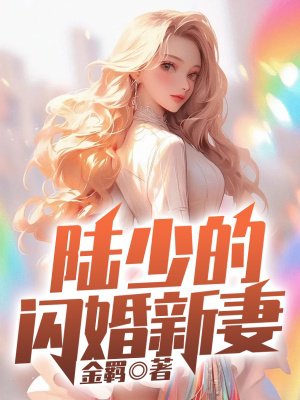 陆少的闪婚新妻