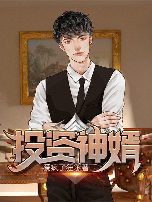 投资神婿
