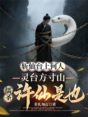 斩仙台上何人，灵台方寸山儒圣许仙是也！