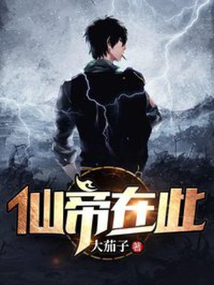 仙帝在此