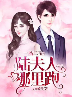 一胎二宝:陆夫人哪里跑