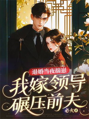 退婚当夜揣崽，我嫁领导碾压前夫
