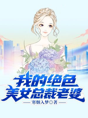 我的绝色美女总裁老婆