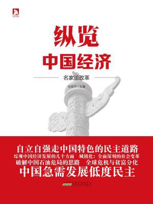 纵览中国经济:名家谈改革