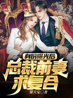 身份曝光后,总裁前妻求复合