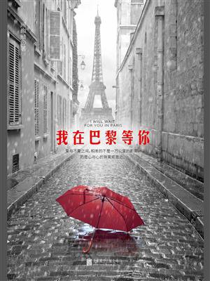我在巴黎等你