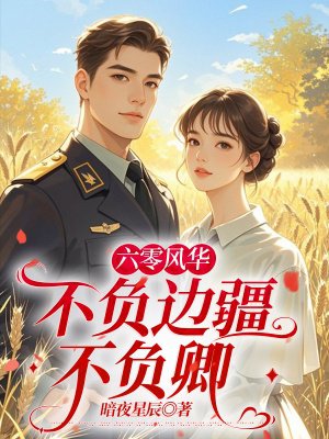 六零风华:不负边疆不负卿