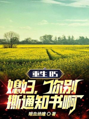 重生85:媳妇,你别撕通知书啊!