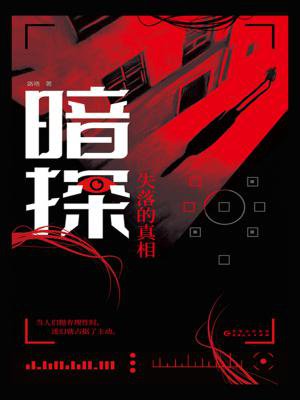 暗探:失落的真相