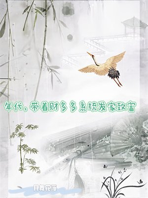 年代:带着财多多系统发家致富
