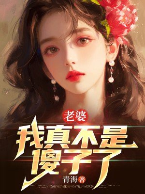 老婆,我真不是傻子了
