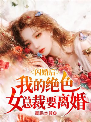 闪婚后，我的绝色女总裁要离婚