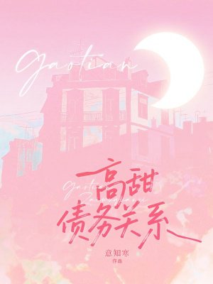 高甜债务关系