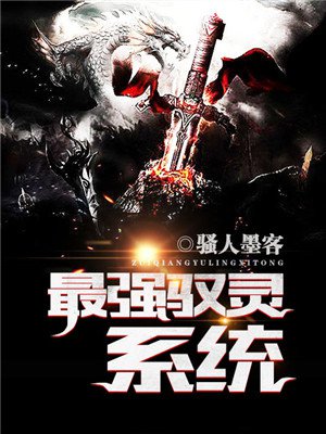 最强驭灵系统