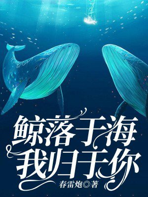 鲸落于海,我归于你