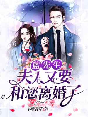 蓝先生:夫人又要和您离婚了