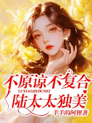 不原谅,不复合,陆太太独美