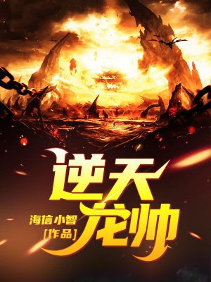 逆天龙帅
