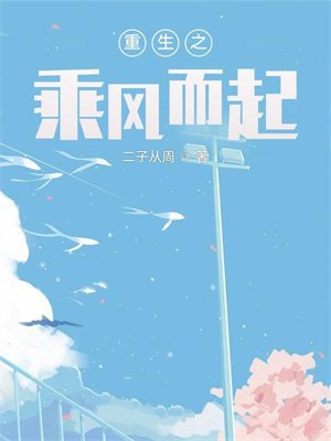 重生之乘风而起