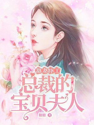 甜妻特工:总裁的宝贝夫人
