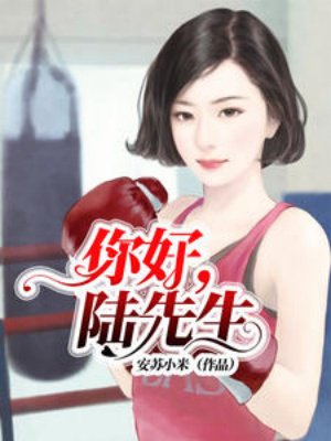 你好,陆先生
