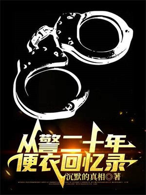 从警二十年,便衣回忆录