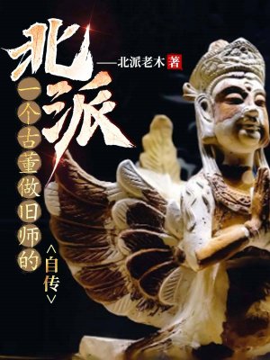 北派:一个古董做旧师的自传