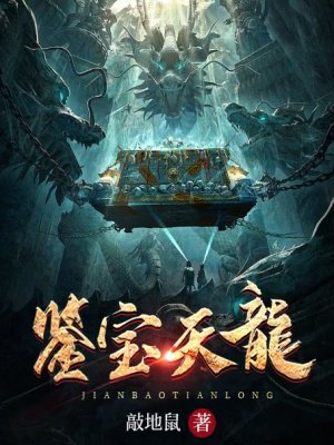 鉴宝天龙