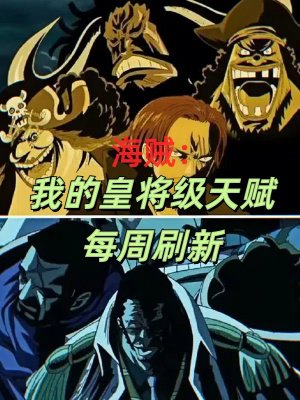 海贼:我的皇将级天赋每周刷新