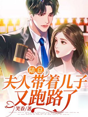 陆总,夫人带着儿子又跑路了