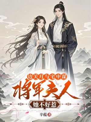 边关月与宅中谋:将军夫人她不好惹