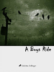 A Boys Ride[精品]