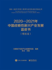 2020—2021年中国战略性新兴产业发展蓝皮书