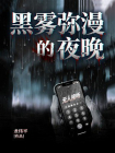 黑雾弥漫的夜晚[精品]