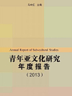 青年亚文化研究年度报告（2013）