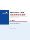 中国临床肿瘤学会(CSCO)结直肠癌诊疗指南 2018.V1