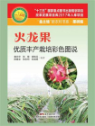 火龙果优质丰产栽培彩色图说