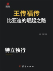 王传福传：比亚迪的崛起之路[精品]